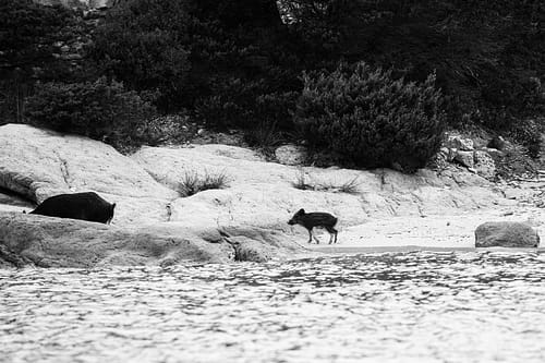 2c315a129922807.61758ab552b01